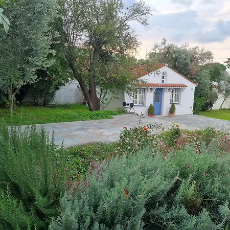 Tellina Skiathos Town